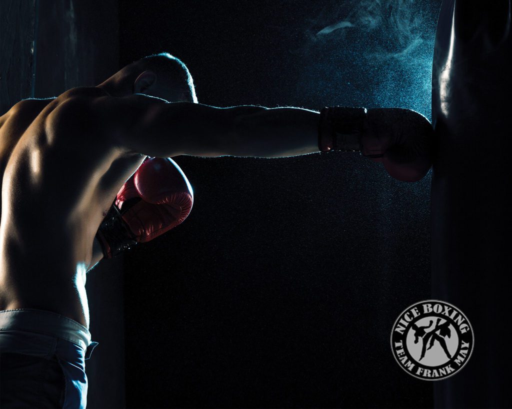 Themis Créa : Création site internet et référencement naturel SEO pour Nice Boxing - Centre de Boxe de Renommée en France